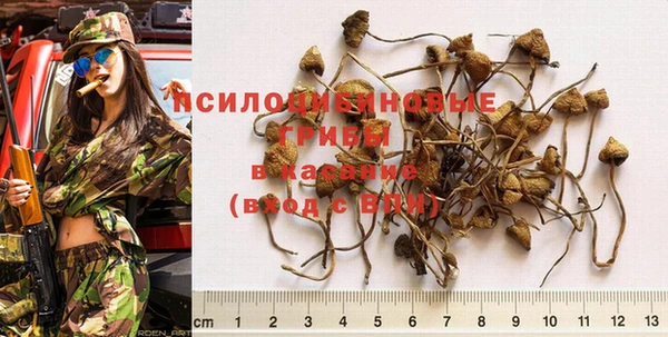 альфа пвп Михайлов