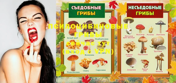 альфа пвп Михайлов