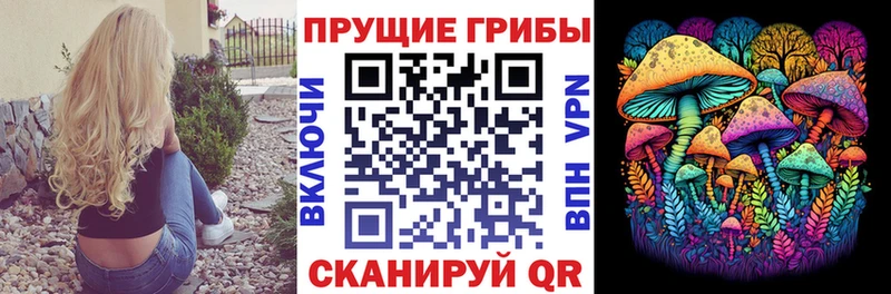 Псилоцибиновые грибы Psilocybine cubensis Троицк