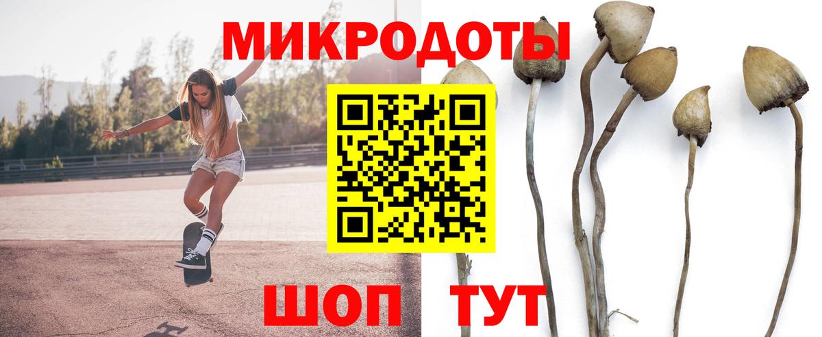 Троицк  купить  сайты  Вход с VPN  Псилоцибиновые грибы мухоморы 